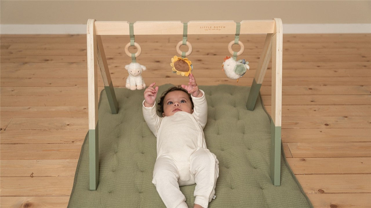 Gimnasio de madera Granja Little Dutch