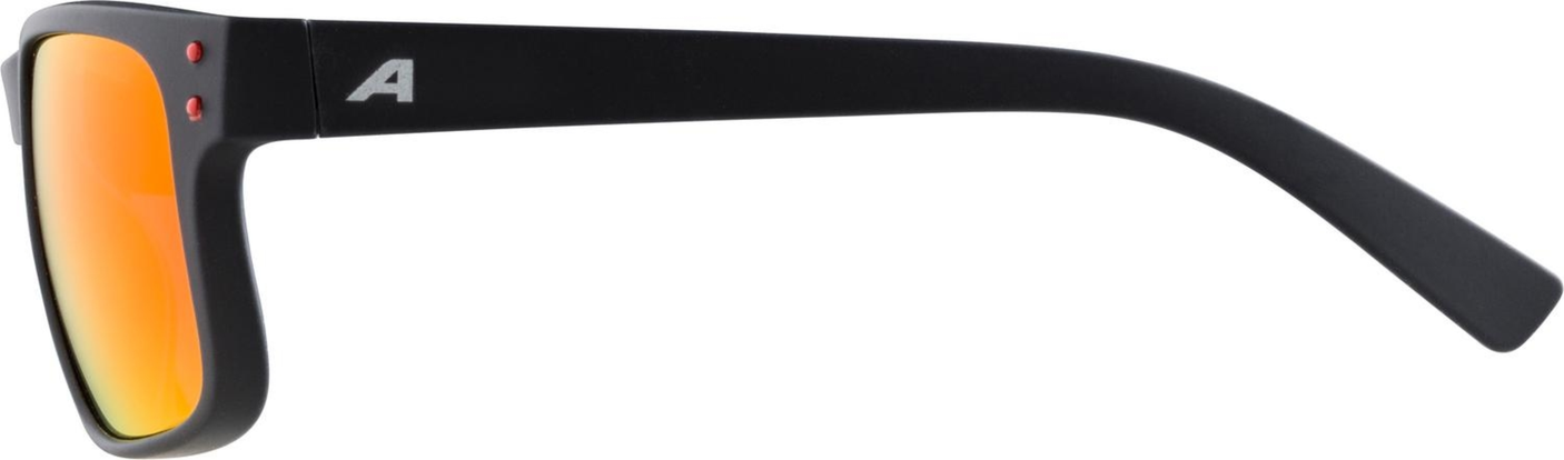 Alpina Kosmic Brille schwarz