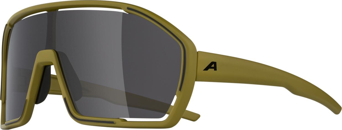 Alpina Bonfire Sonnenbrille oliv