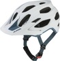 Alpina Carapax 2.0 Enduro/MTB Helm white pebble blue matt