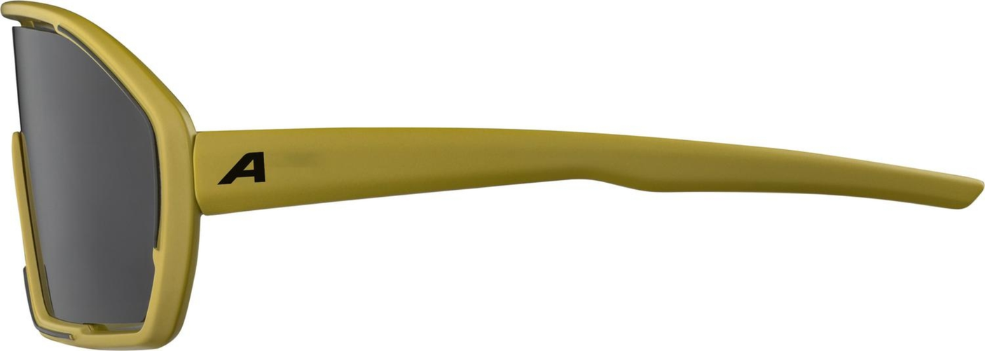 Alpina Bonfire Sonnenbrille oliv
