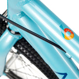 ACADEMY Grade 6 Belt 26" Ocean (2026)