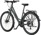 Bergamont Vitess 40 rigid Amsterdam Kelp Green (2026)