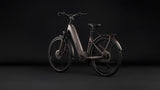 Cube Kathmandu Hybrid ONE 800 Easy Entry cedar´n´chrome (2027)