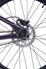 ACADEMY Pump 6 26" Plum (2027)