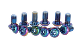 SRAM Titanium T25 Bremsscheiben Schraubenkit 12 Stück bunt