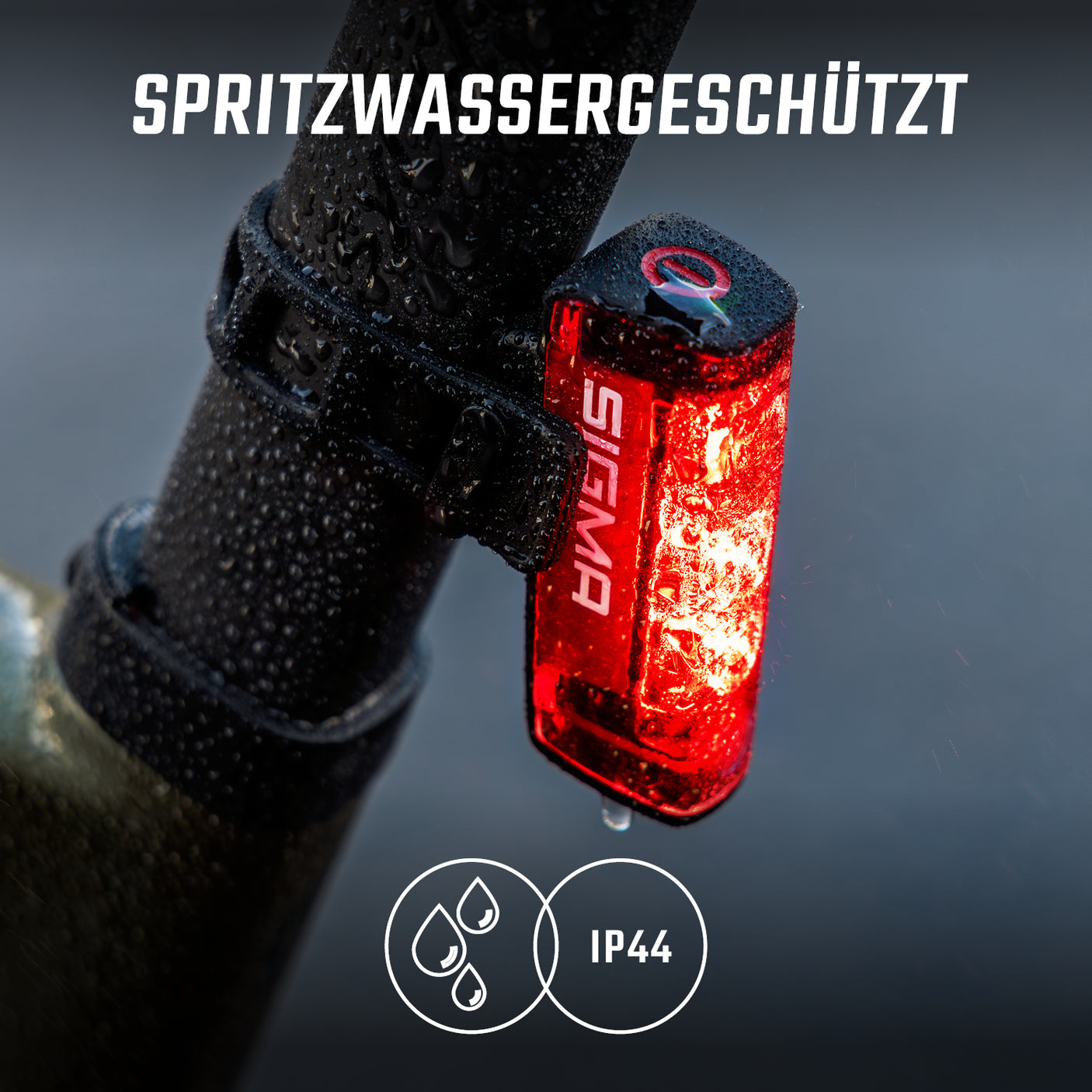 Sigma HIRO 50 Rücklicht