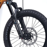 ACADEMY Trail 4 20" Amber (2027)