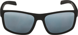 Alpina Nacan I Sonnenbrille schwarz