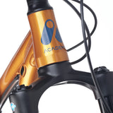 ACADEMY Trail 4 20" Amber (2027)
