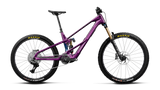 Orbea WILD LT M10 MULLET Royal Plum-Noctiluca C.View (Gloss) (2027)
