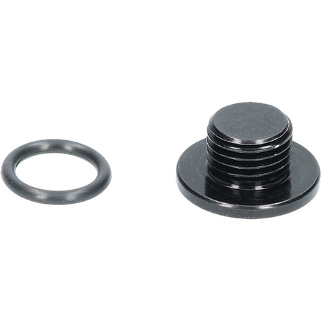 Shimano ST-R9120 Entlüfterschraube mit Dichtring