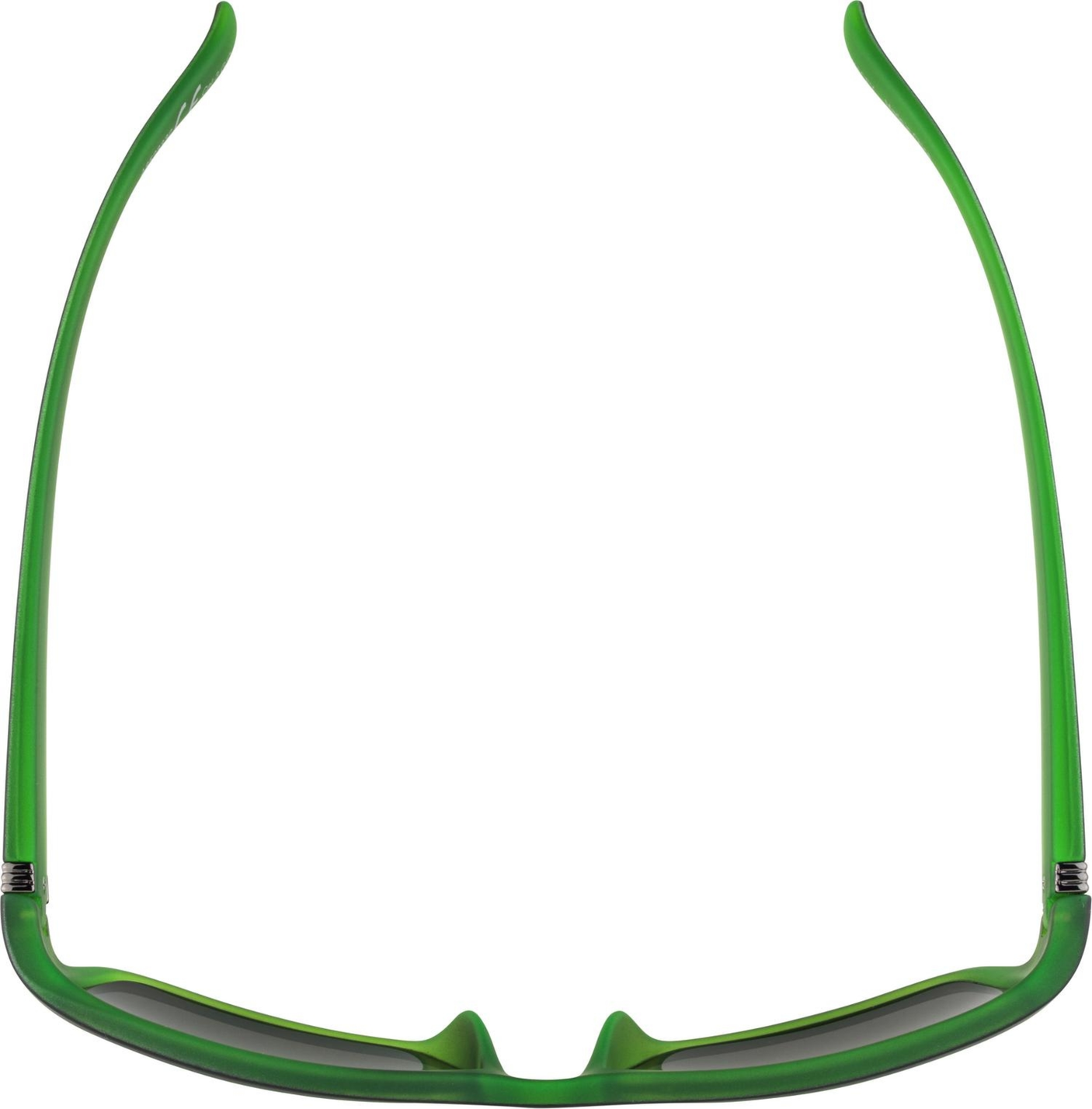 Alpina Kacey Brille schwarz/grün