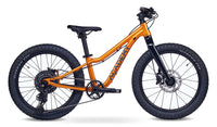 ACADEMY Trail 4 R Mountainbike (2026) | 20 Zoll Jugend-/Kinder-MTB | Amber – aktuelle Variante