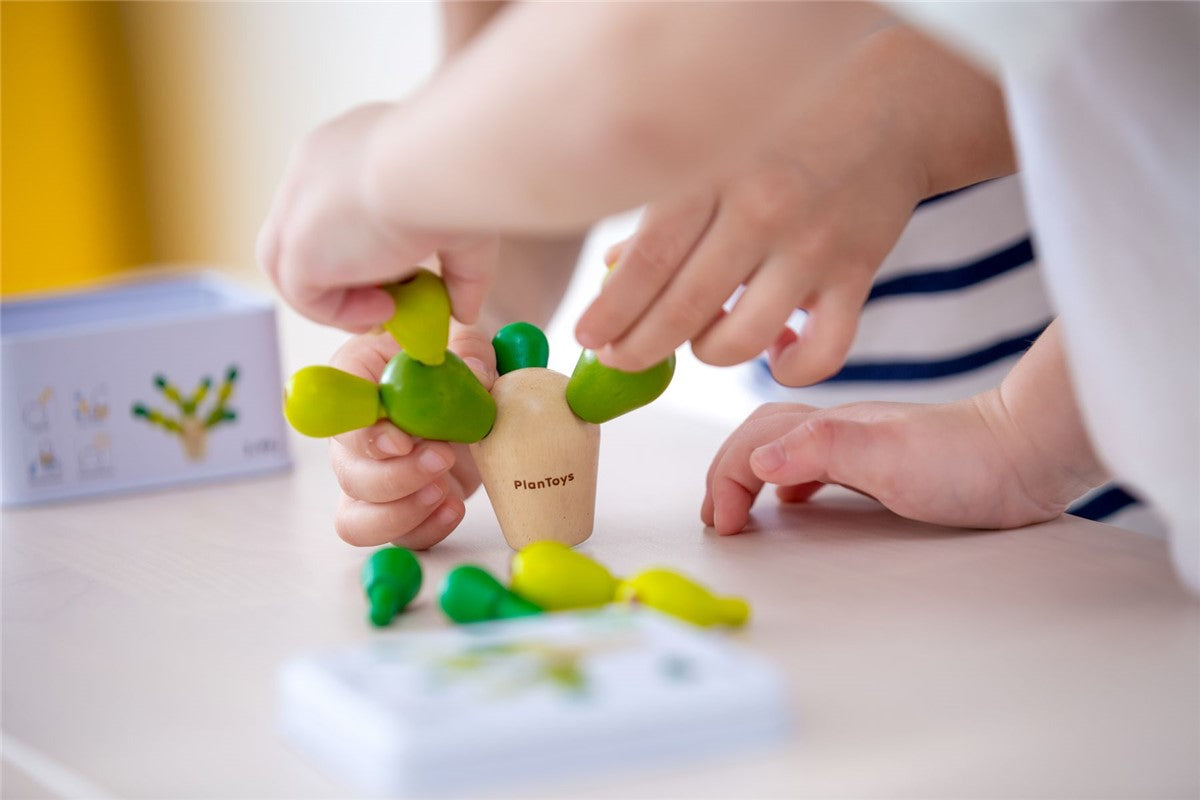 Mini Cactus en equilibrio - Plantoys