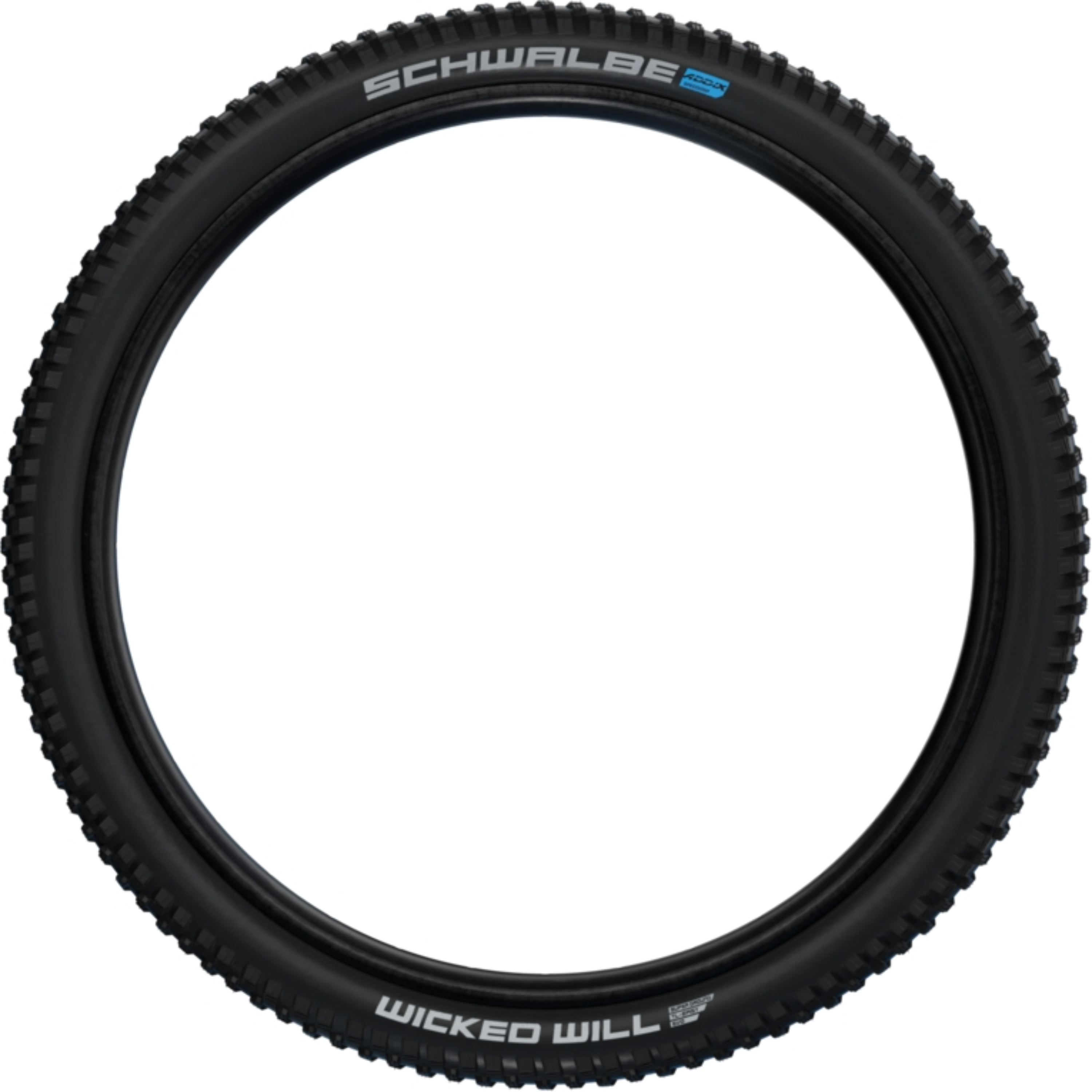 Schwalbe Wicked Will Performance 29