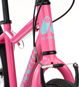 Academy Grade 5 Pink (2027)