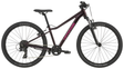 Cannondale Kids Trail 24 Royal Purple (2027)