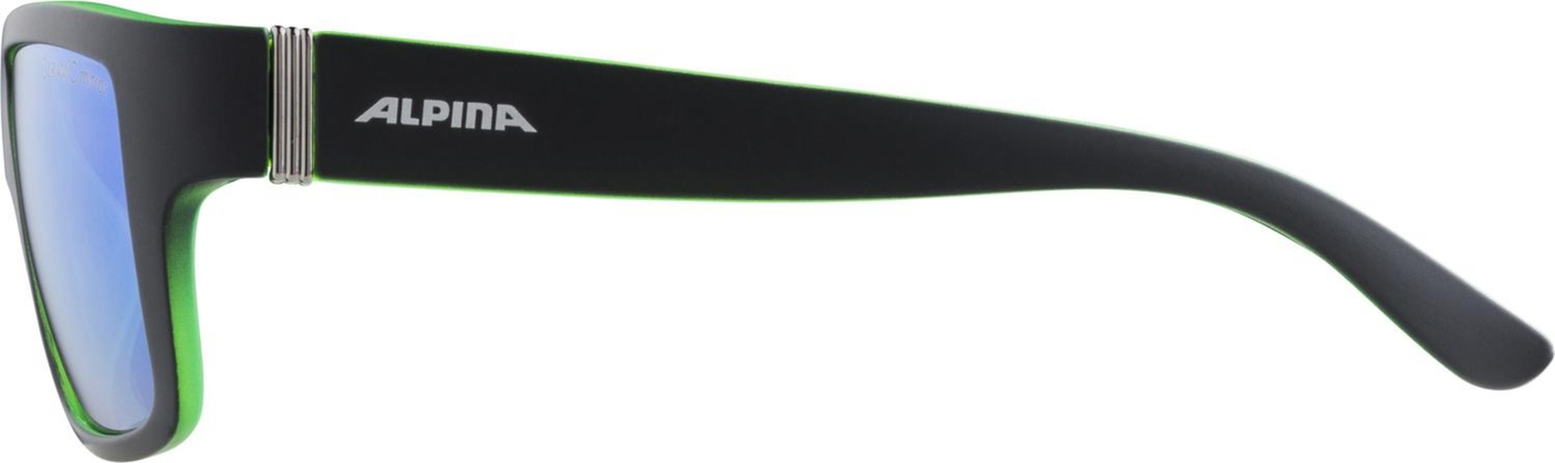 Alpina Kacey Brille schwarz/grün
