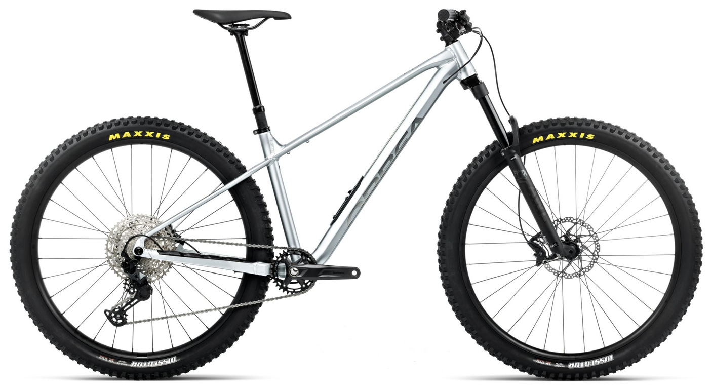Orbea LAUFEY H10 Smooth Silver (Matt) - Titanium (Gloss) (2026)