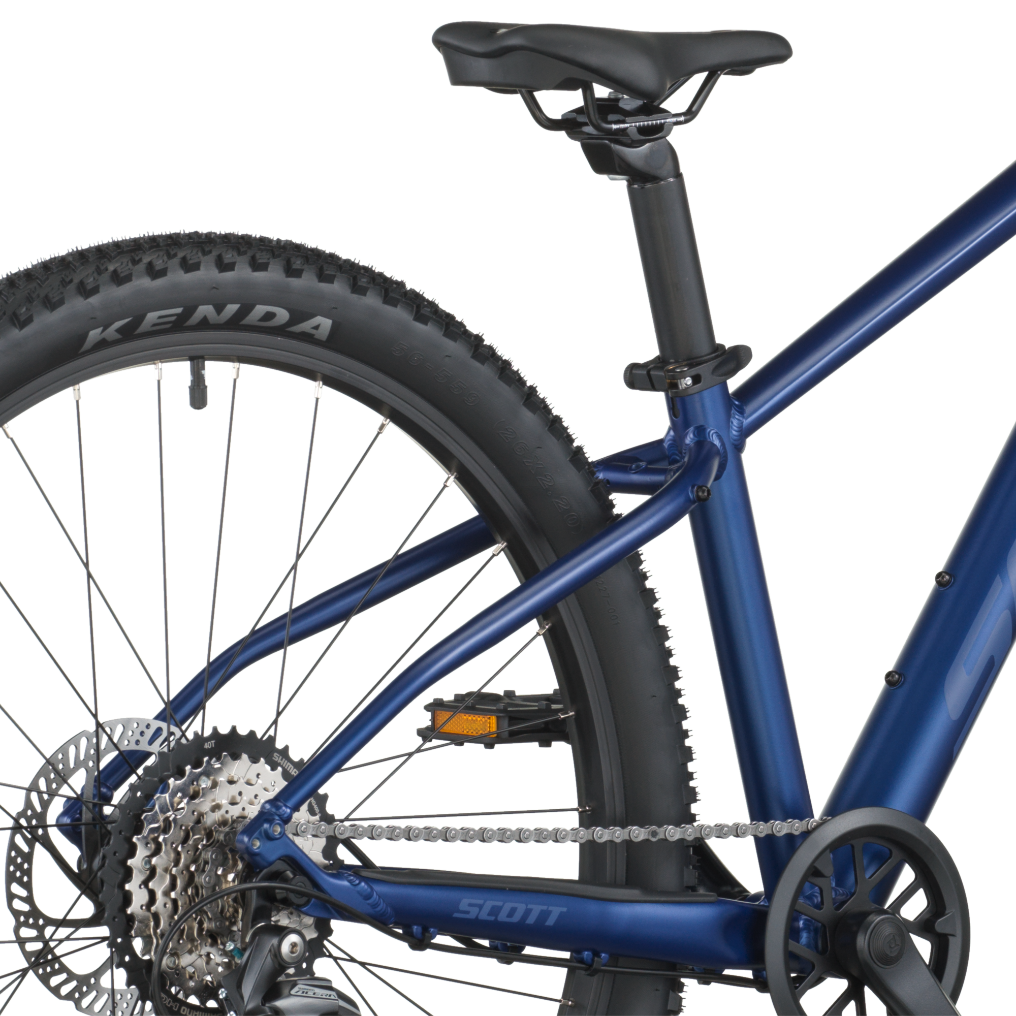 Scott Scale 600 clematis blue (2026)