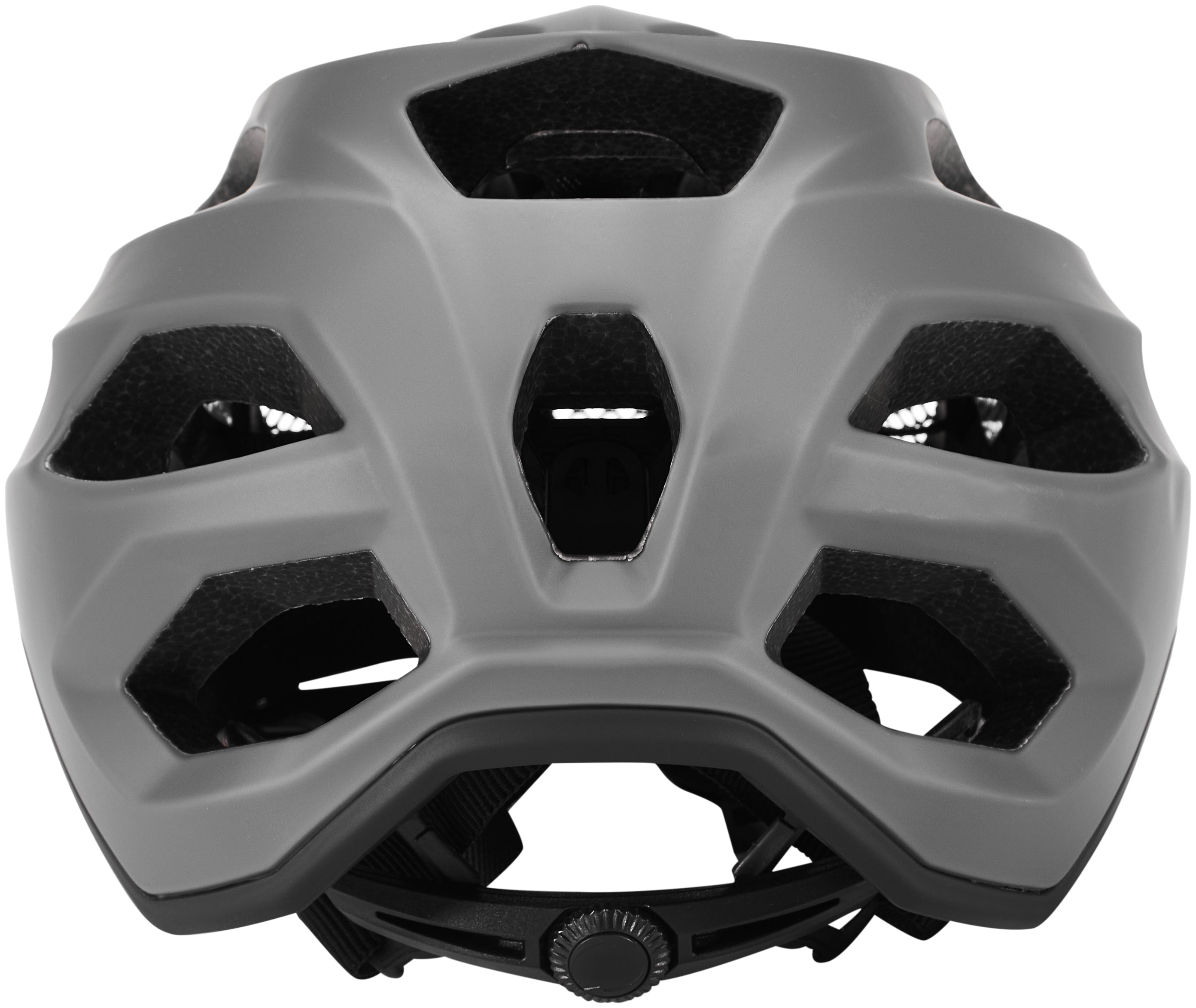 Alpina Carapax 2.0 Helm grau