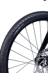 ACCADEMY S-grade Gravel 5 24" Forest (2027)