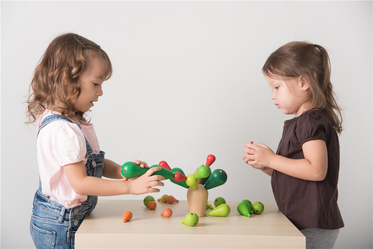 Cactus equilibrista - Plantoys apilable
